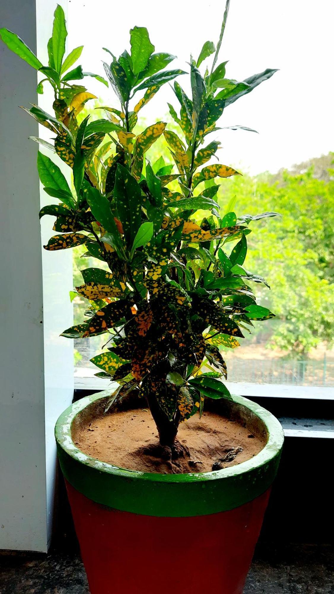 Hotel Season Ahmedabad Extérieur photo